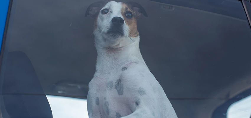 Car Lockout Solutions in La Crescenta-Montrose, California